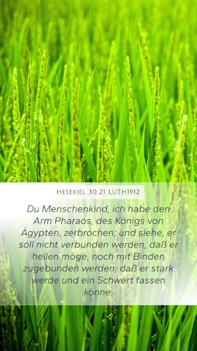 Hesekiel 30:21 LUTH1912 Bible Verse Image