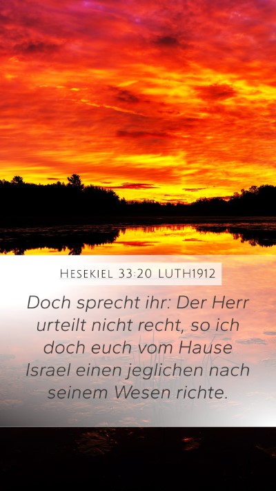 Hesekiel 33:20 LUTH1912 Bible Verse Image