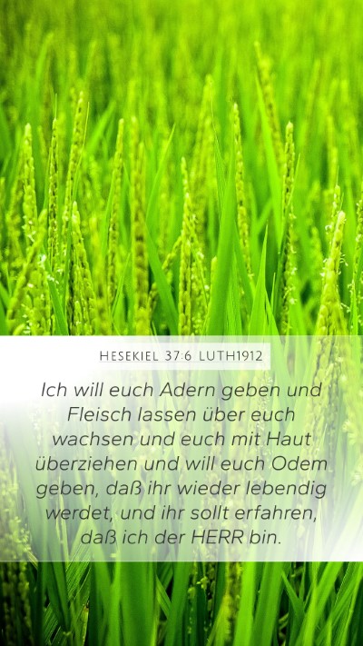 Hesekiel 37:6 LUTH1912 Bible Verse Image