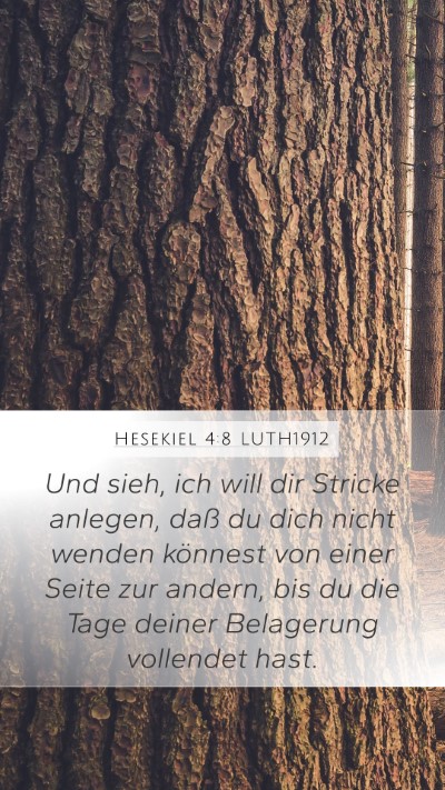 Hesekiel 4:8 LUTH1912 Bible Verse Image