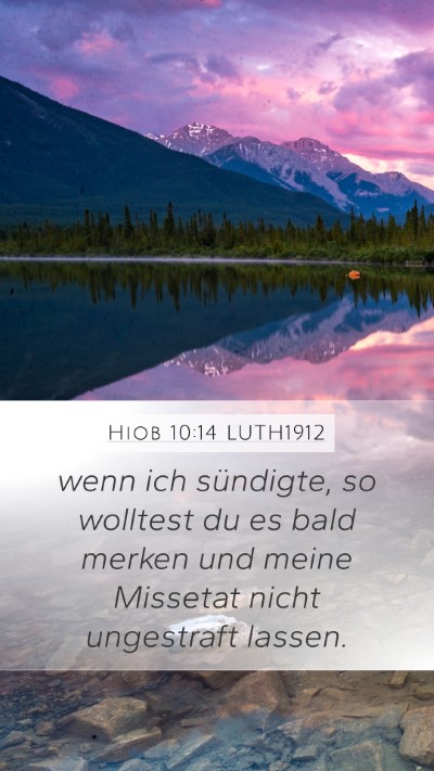 Hiob 10:14 LUTH1912 Bible Verse Image