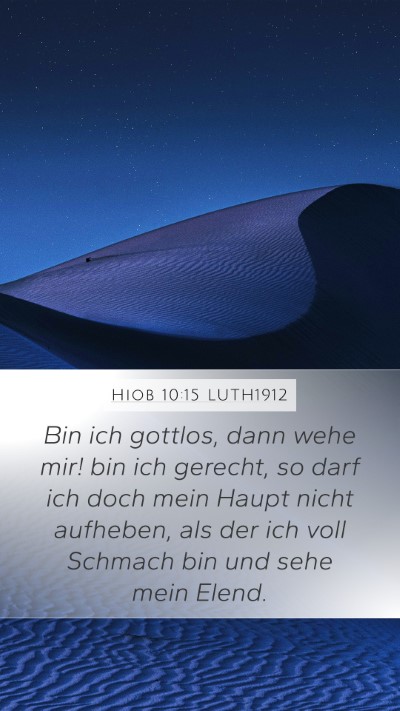 Hiob 10:15 LUTH1912 Bible Verse Image