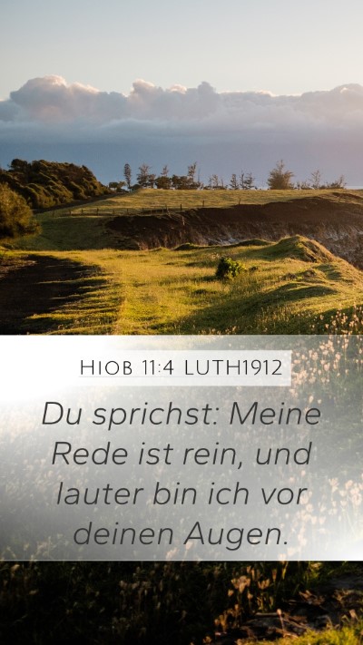 Hiob 11:4 LUTH1912 Mobile Phone Wallpaper - Du sprichst: Meine Rede ist rein, und lauter bin - Mobile Bible Verse Wallpaper