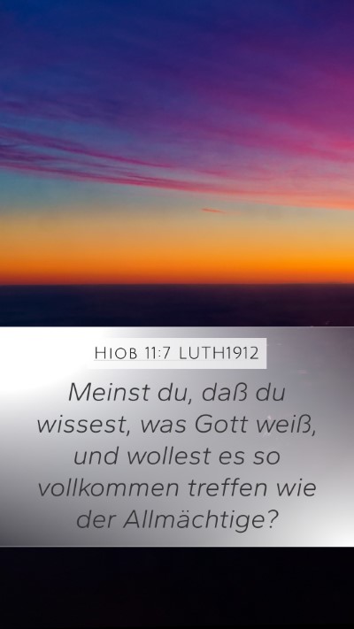 Hiob 11:7 LUTH1912 Bible Verse Image