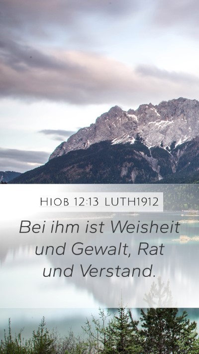 Hiob 12:13 LUTH1912 Bible Verse Image
