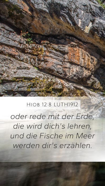 Hiob 12:8 LUTH1912 Bible Verse Image