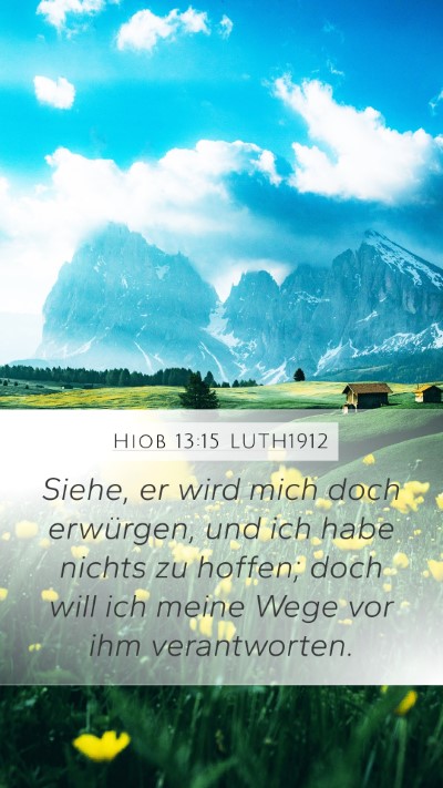 Hiob 13:15 LUTH1912 Bible Verse Image