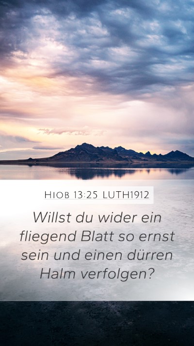 Hiob 13:25 LUTH1912 Bible Verse Image