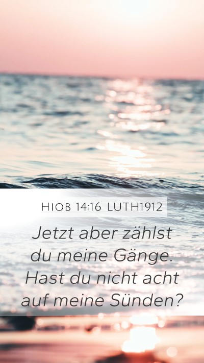 Hiob 14:16 LUTH1912 Bible Verse Image