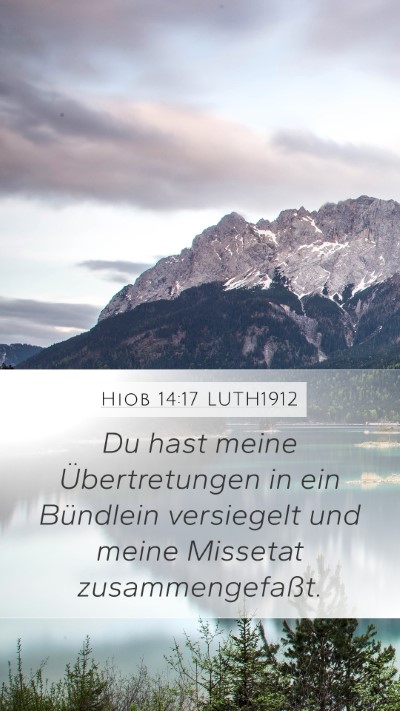 Hiob 14:17 LUTH1912 Bible Verse Image
