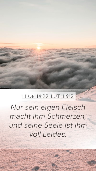 Hiob 14:22 LUTH1912 Mobile Phone Wallpaper - Nur sein eigen Fleisch macht ihm Schmerzen, und - Mobile Bible Verse Wallpaper