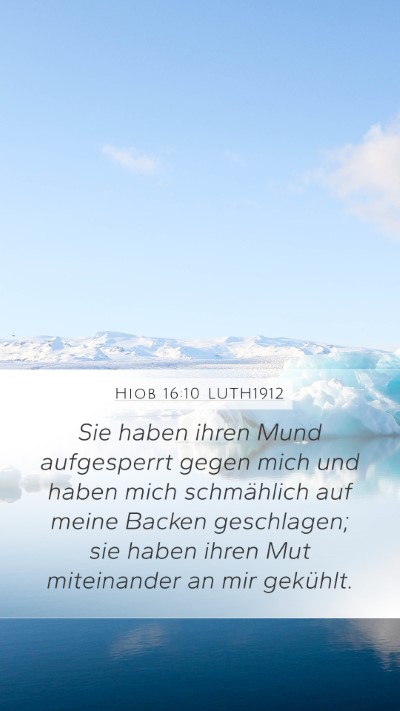 Hiob 16:10 LUTH1912 Bible Verse Image