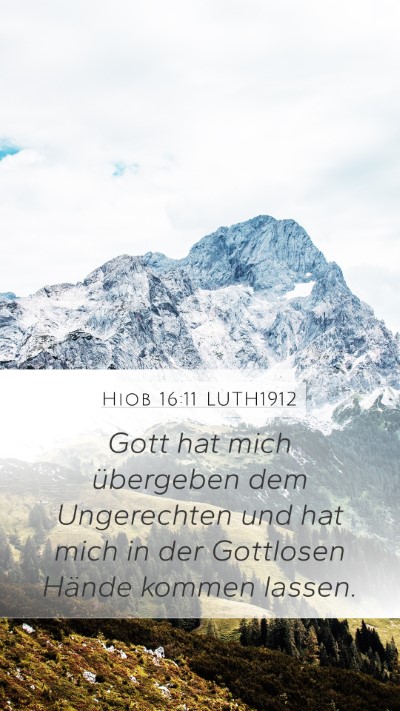 Hiob 16:11 LUTH1912 Bible Verse Image