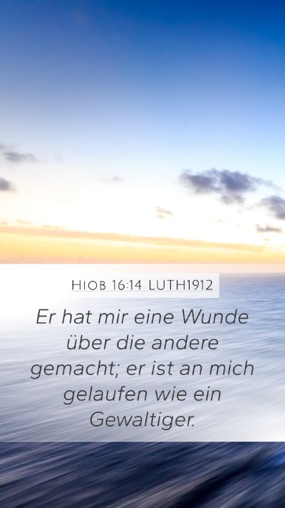 Hiob 16:14 LUTH1912 Bible Verse Image