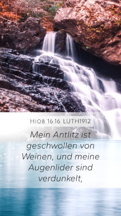 Hiob 16:16 LUTH1912 Bible Verse Image