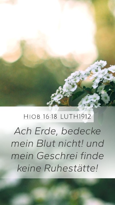 Hiob 16:18 LUTH1912 Bible Verse Image