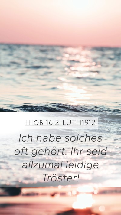Hiob 16:2 LUTH1912 Bible Verse Image