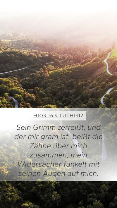Hiob 16:9 LUTH1912 Bible Verse Image