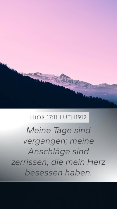 Hiob 17:11 LUTH1912 Bible Verse Image