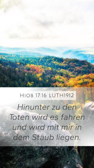 Hiob 17:16 LUTH1912 Mobile Phone Wallpaper - Hinunter zu den Toten wird es fahren und wird mit - Mobile Bible Verse Wallpaper
