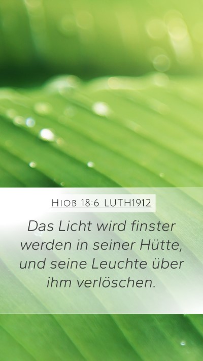 Hiob 18:6 LUTH1912 Bible Verse Image