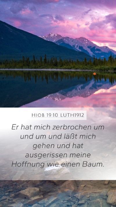 Hiob 19:10 LUTH1912 Bible Verse Image