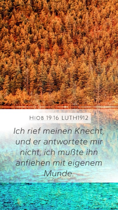 Hiob 19:16 LUTH1912 Bible Verse Image