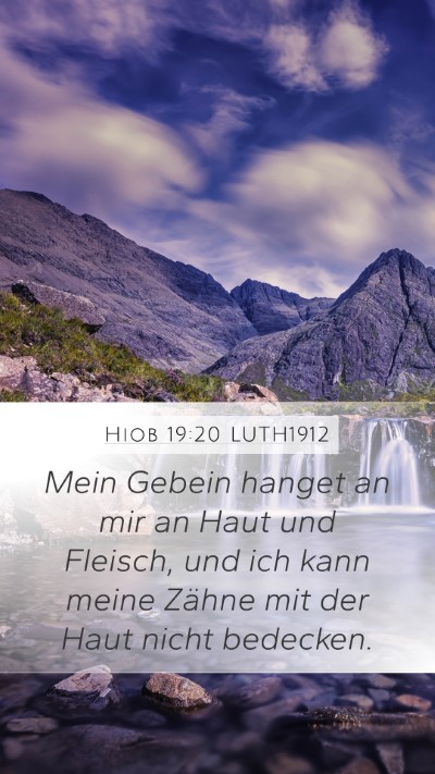Hiob 19:20 LUTH1912 Bible Verse Image