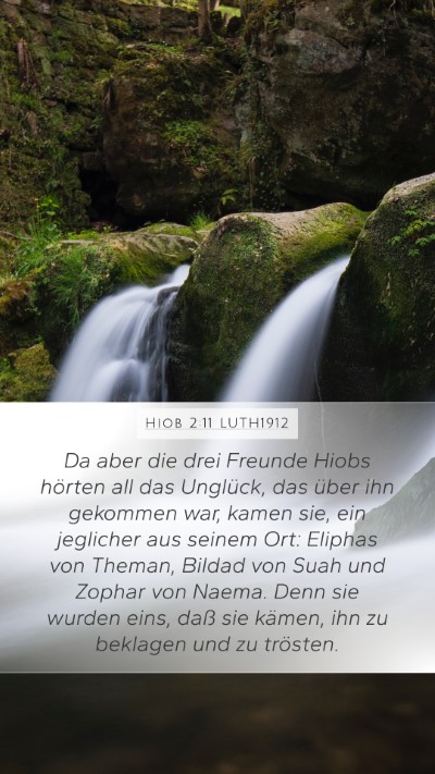 Hiob 2:11 LUTH1912 Bible Verse Image