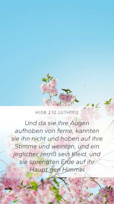 Hiob 2:12 LUTH1912 Bible Verse Image