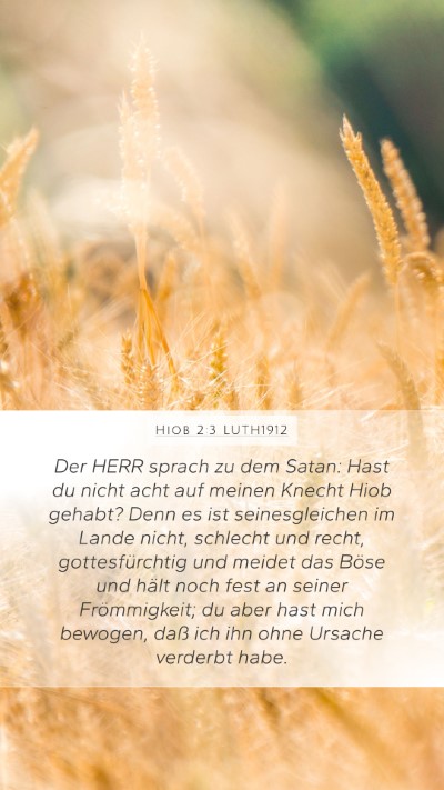 Hiob 2:3 LUTH1912 Bible Verse Image