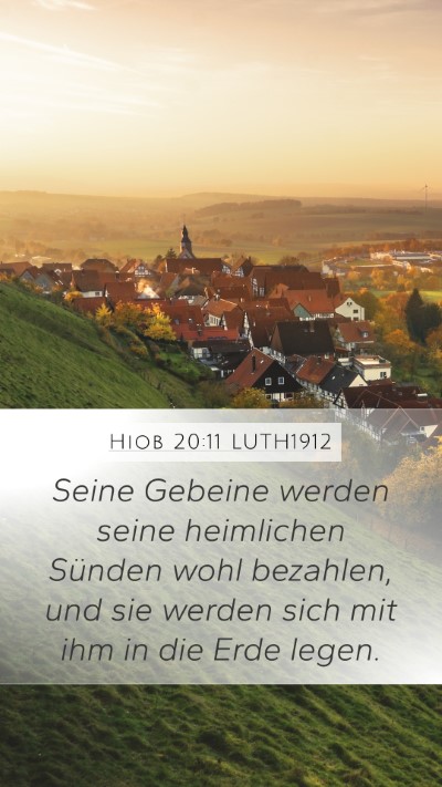 Hiob 20:11 LUTH1912 Bible Verse Image