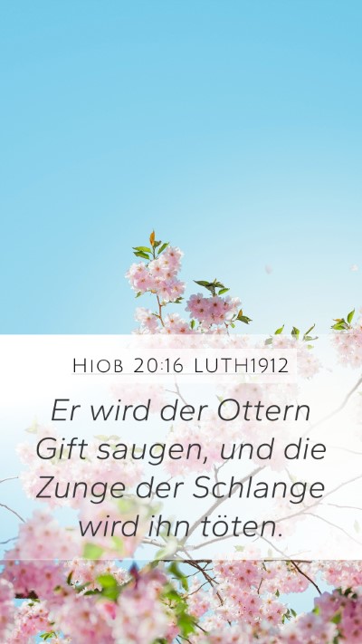 Hiob 20:16 LUTH1912 Bible Verse Image