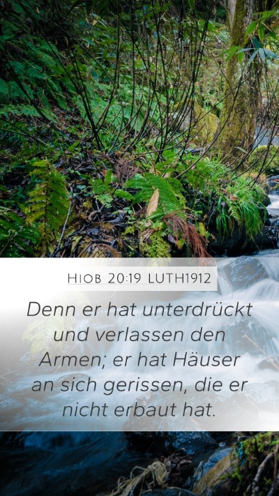 Hiob 20:19 LUTH1912 Bible Verse Image