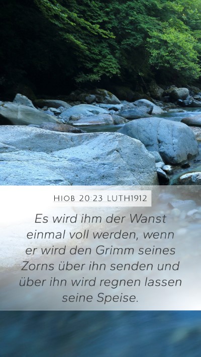 Hiob 20:23 LUTH1912 Bible Verse Image