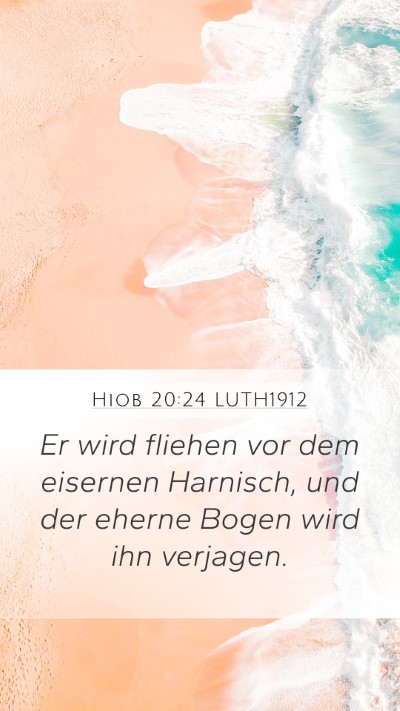 Hiob 20:24 LUTH1912 Bible Verse Image