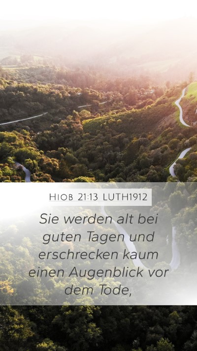 Hiob 21:13 LUTH1912 Bible Verse Image