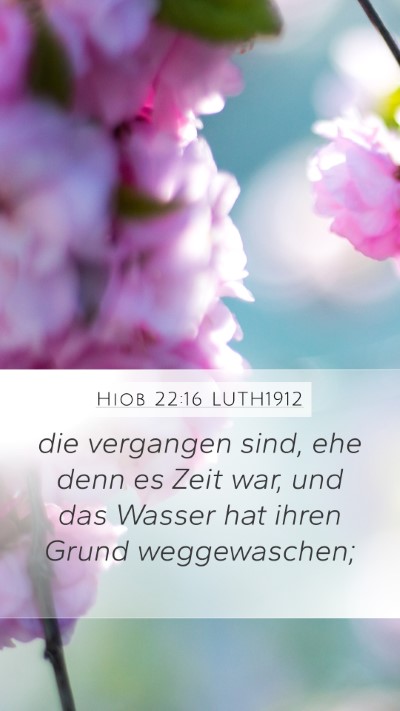 Hiob 22:16 LUTH1912 Bible Verse Image