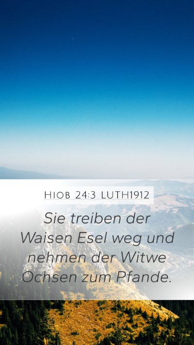 Hiob 24:3 LUTH1912 Bible Verse Image