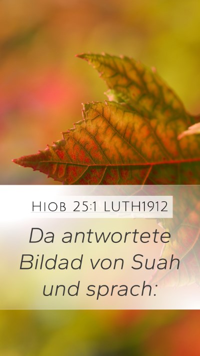 Hiob 25:1 LUTH1912 Bible Verse Image