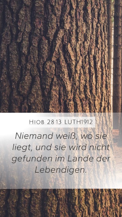 Hiob 28:13 LUTH1912 Bible Verse Image