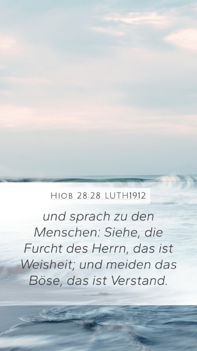 Hiob 28:28 LUTH1912 Bible Verse Image