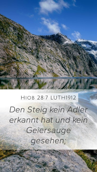 Hiob 28:7 LUTH1912 Mobile Phone Wallpaper - Den Steig kein Adler erkannt hat und kein - Mobile Bible Verse Wallpaper