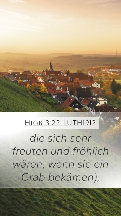 Hiob 3:22 LUTH1912 Bible Verse Image