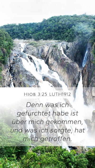 Hiob 3:25 LUTH1912 Bible Verse Image