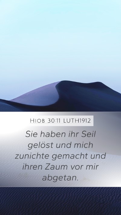 Hiob 30:11 LUTH1912 Mobile Phone Wallpaper - Sie haben ihr Seil gelöst und mich zunichte - Mobile Bible Verse Wallpaper