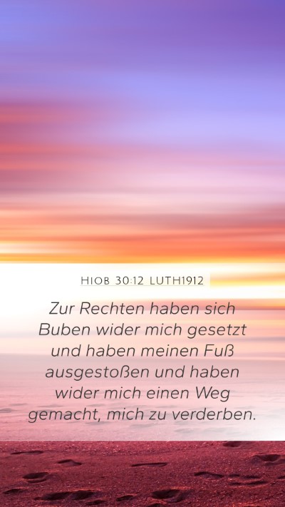 Hiob 30:12 LUTH1912 Bible Verse Image