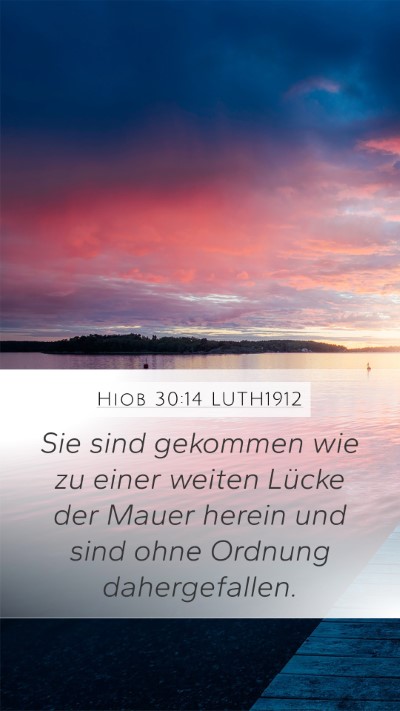 Hiob 30:14 LUTH1912 Bible Verse Image