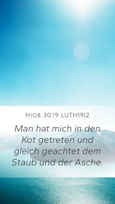 Hiob 30:19 LUTH1912 Bible Verse Image