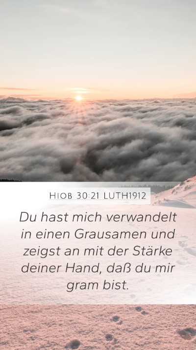 Hiob 30:21 LUTH1912 Bible Verse Image
